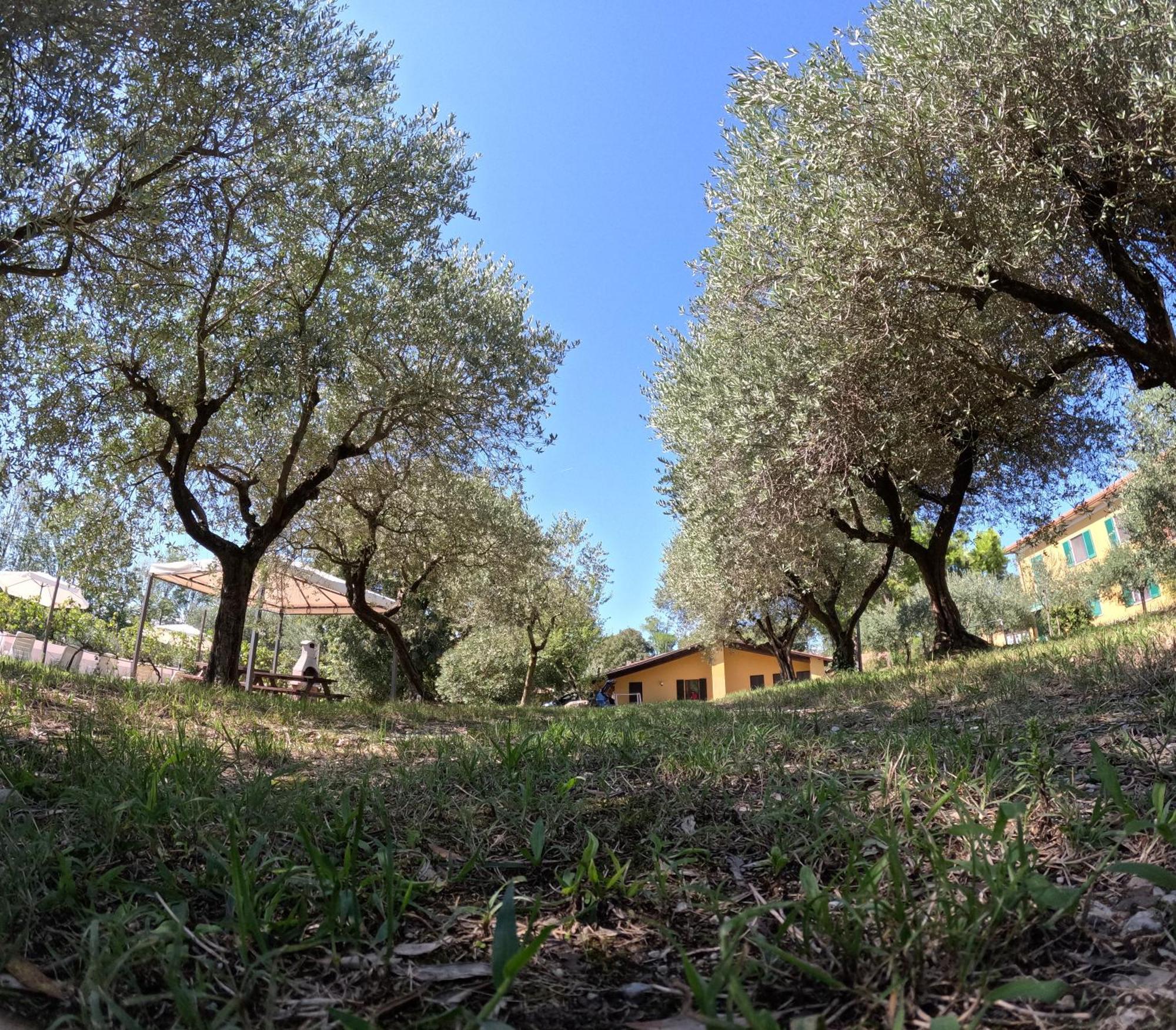 Agriturismo Gardenali Volta Mantovana Rum bild
