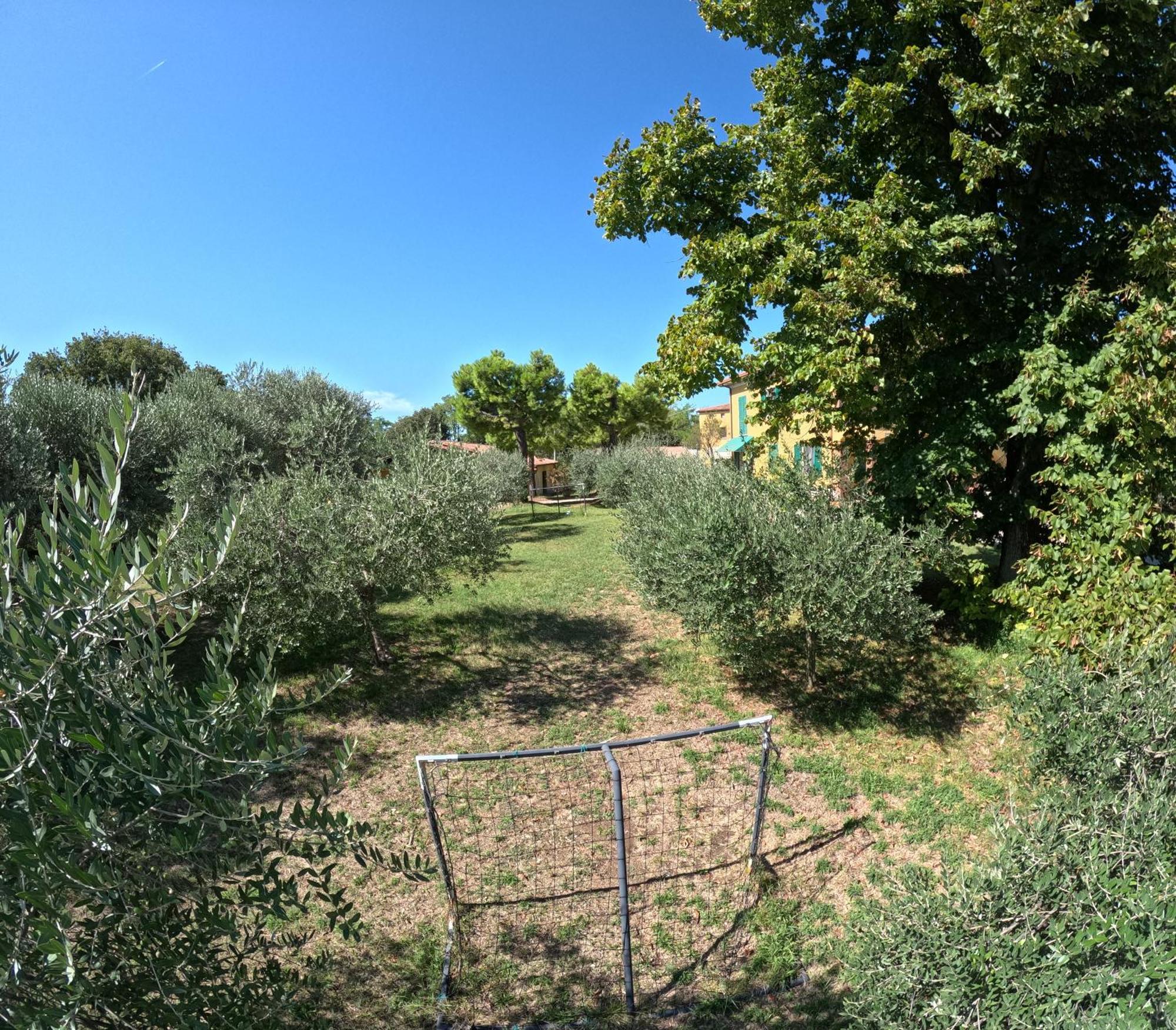 Agriturismo Gardenali Volta Mantovana Exteriör bild
