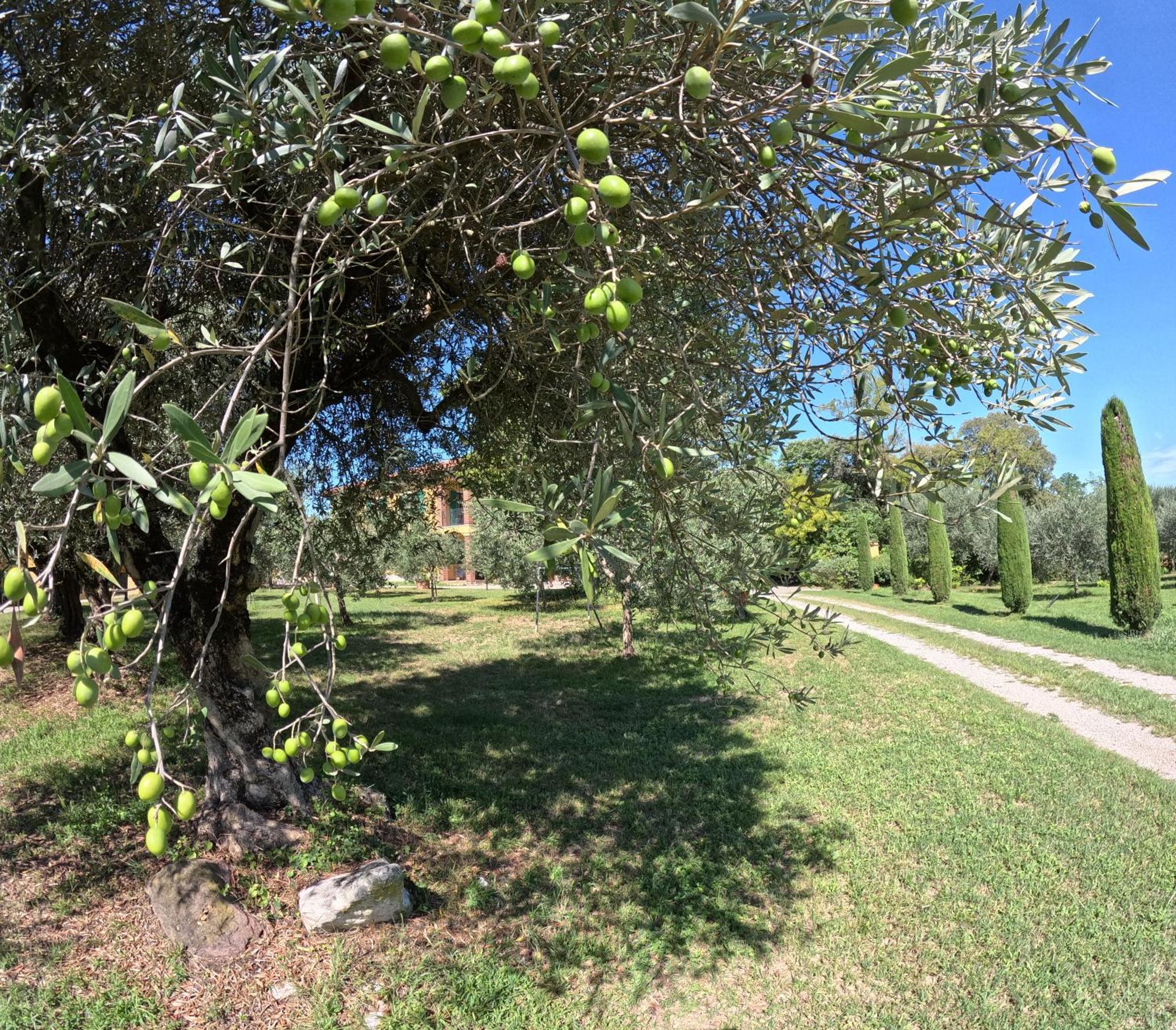 Agriturismo Gardenali Volta Mantovana Exteriör bild