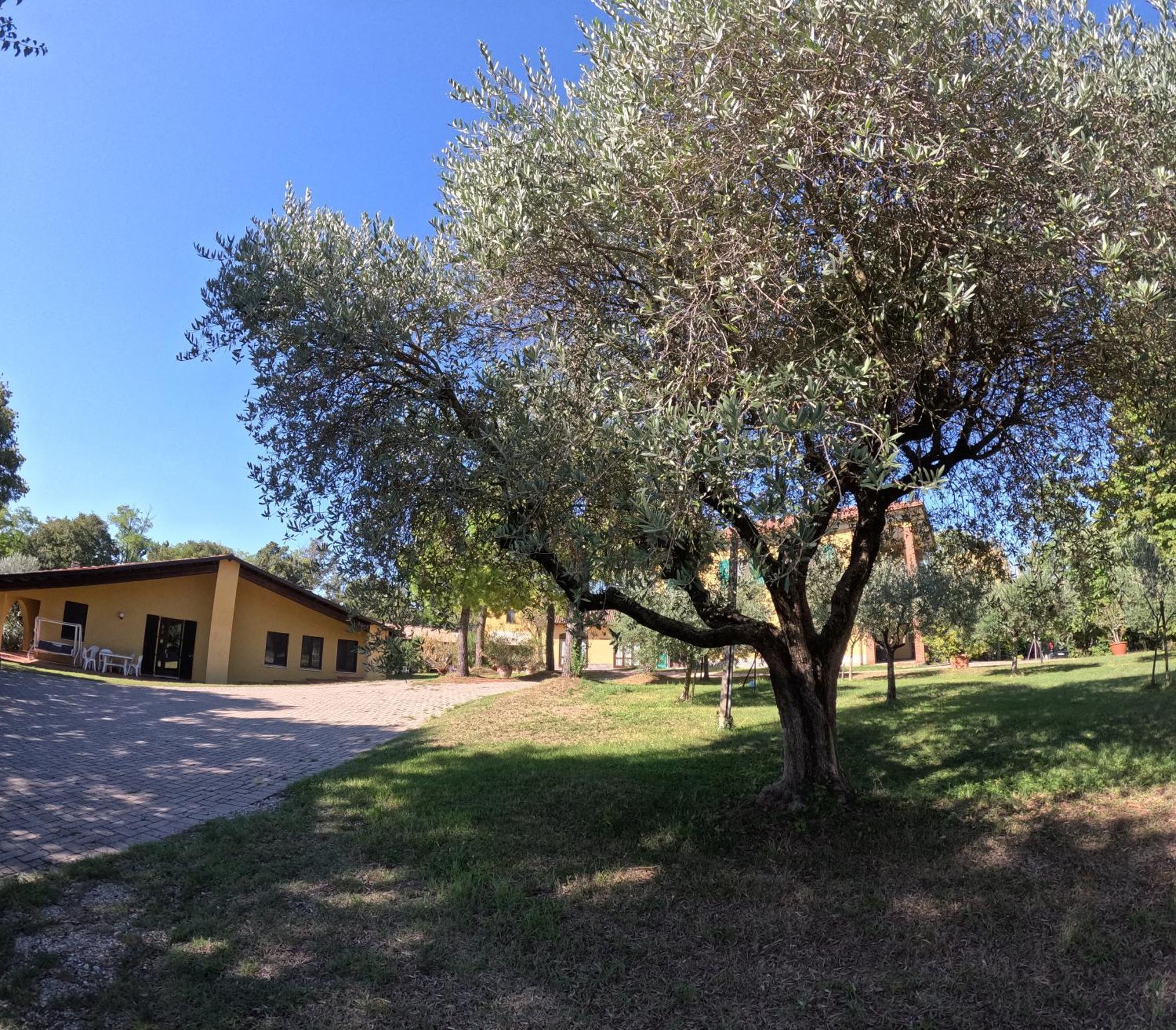Agriturismo Gardenali Volta Mantovana Exteriör bild