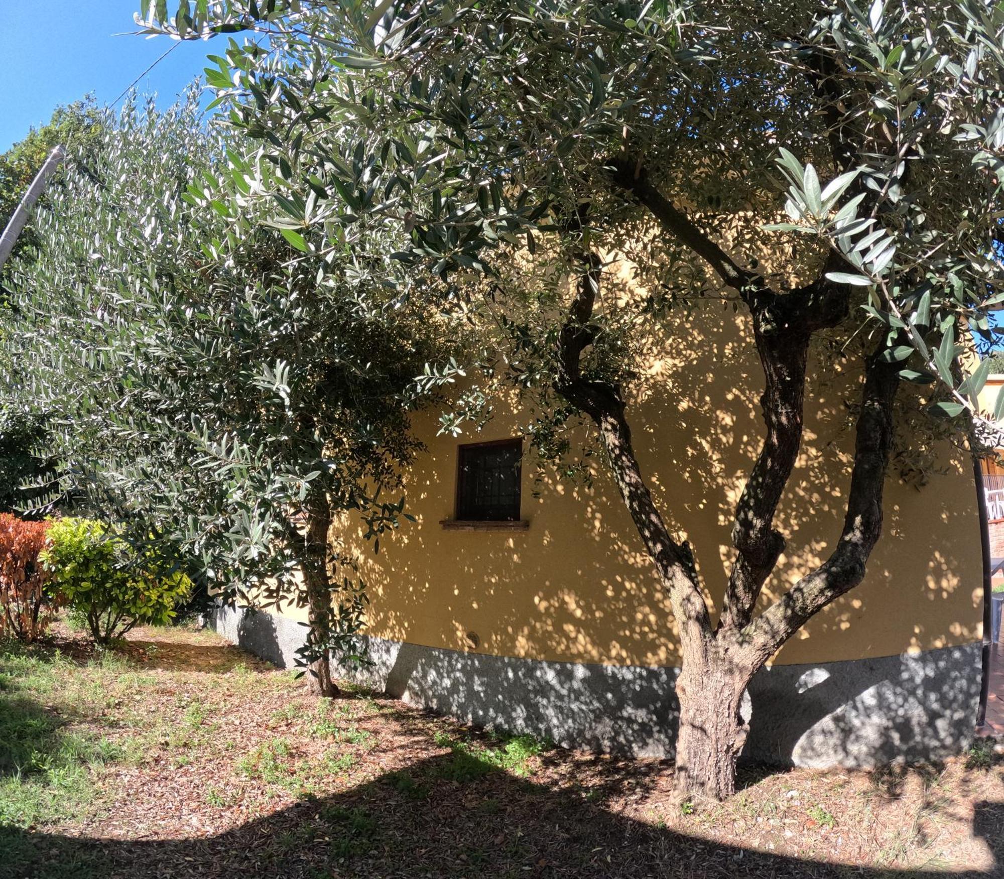 Agriturismo Gardenali Volta Mantovana Exteriör bild