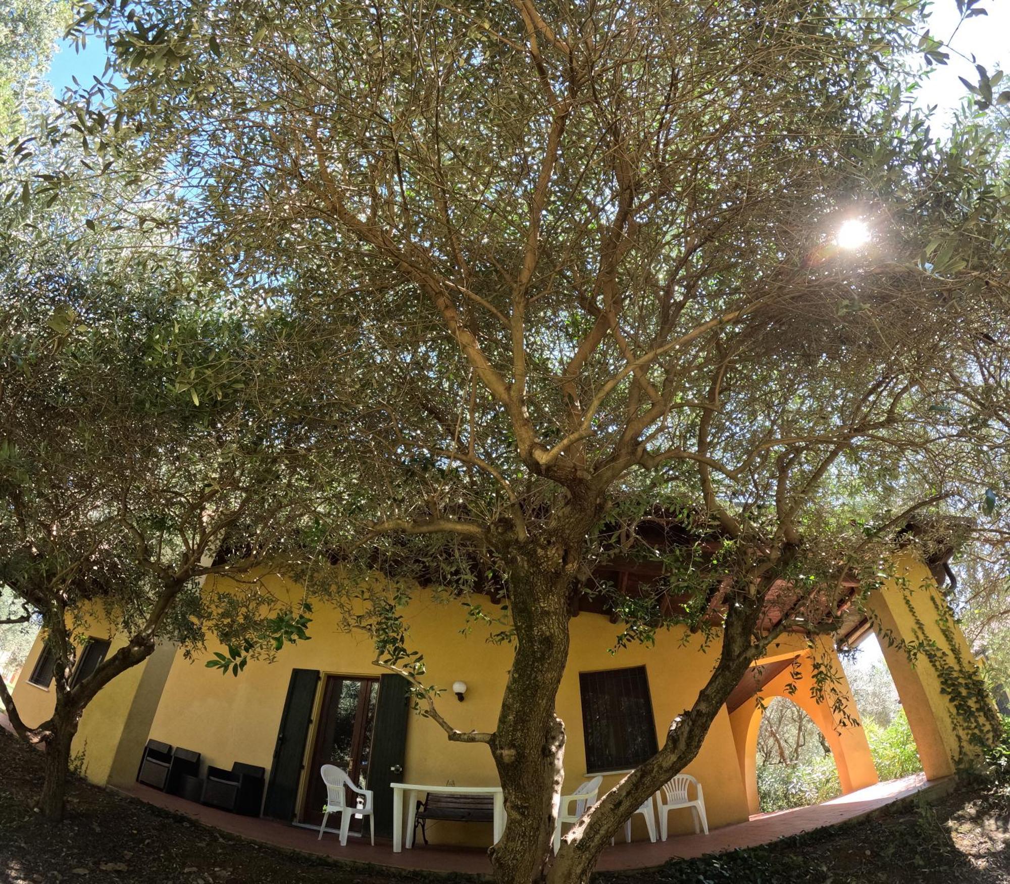 Agriturismo Gardenali Volta Mantovana Rum bild